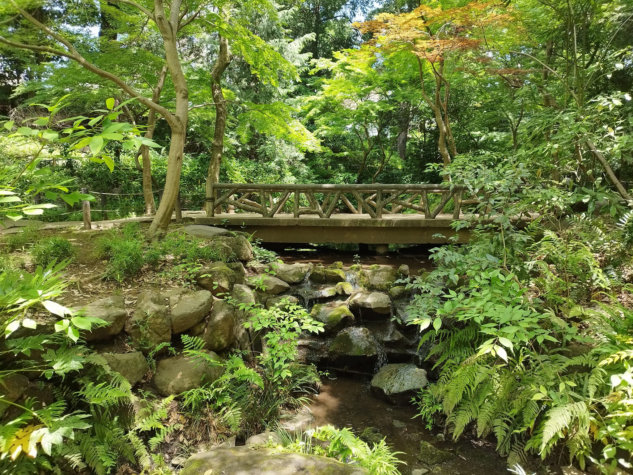有栖川宮記念公園 Arisugawa-no-miya Memorial Park