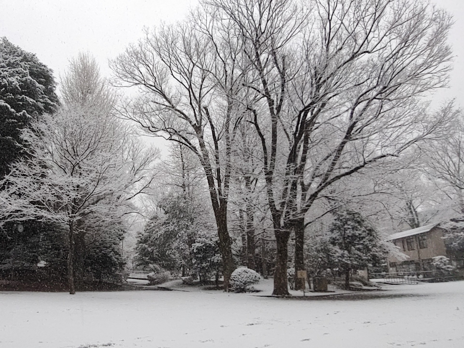 1月 広場　雪景色