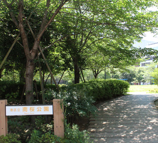 南桜公園 Nanou Park